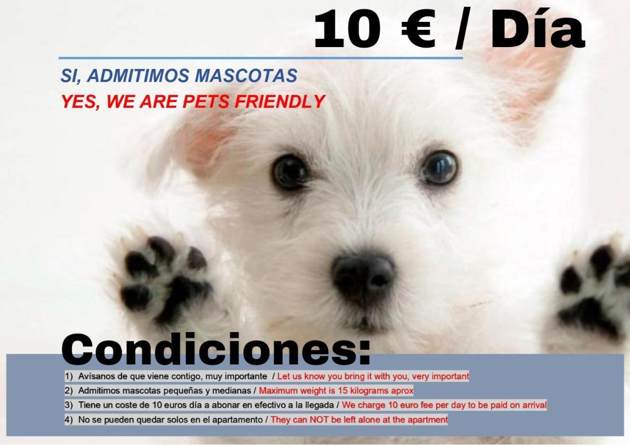 Www Apartamentovaldivia Es Parking Incluido *
